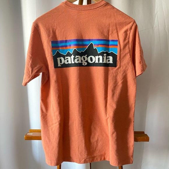 Reformation Patagonia Men's P-6 Logo Responsibili-Tee - Picture 6 of 7